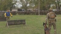 Демонстрации и концерт за Деня на военния парашутист
