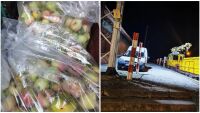 След кражбата на ябълки: Десет човека от НКЖИ са уволнени