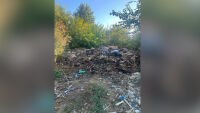 Нелегална кланица за коне край Сливен: Откриха 200 кг месо и изхвърлени трупни отпадъци
