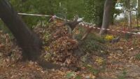 Пострадалият при силния вятър мъж в Сливен е в много тежко състояние. Има счупени ребра, които са пробили белия му дроб