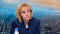 Мая Манолова за търговските вериги: Надробиха попарата и оставиха народа да я сърба. Те са ни лук яли, ни лук мирисали