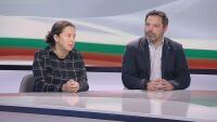 Ива Лазарова: Скриването зад инициативни комитети не донесе подкрепа на партиите
