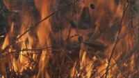 Голям горски пожар бушува в Сакар