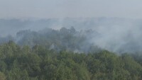 Големите горски пожари в Сакар са овладени