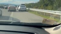 Войната по пътищата: Масово шофиране в аварийната лента