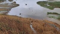 Екоминистърът за чистотата на морето: Не бих нарекъл водата след потопа мръсна