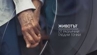 bTV разказва: 