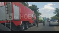 Пожар пламна в борова гора край с. Саранци (СНИМКИ и ВИДЕО)