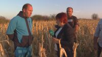 Опустошителна суша: Фермери са пред фалит във Врачанско