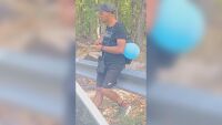 С балон на пътя край Приморско: Откриха изчезналия в 