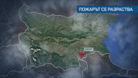 Пламъците в Сакар вече обхванаха 8 хиляди декара