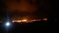 Голям пожар горя край Карнобат