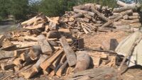 Цената на топлото: По-ниски цени на дървата за огрев в Югозападна България