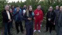 „Беше тотална щета“: Овощари още чакат компенсации от държавата за измръзналите дръвчета през пролетта