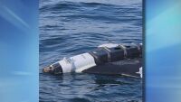 Румъния инсталира американски противодронен щит на военни пристанища в Черно море и по Дунав