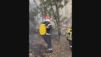 Продължава борбата с пожара край село Димовци, около 120 души са на терен