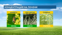 В края на сезона на полените, все още има алергени