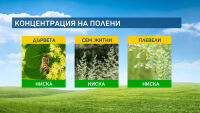Във въздуха все още има полени, но намаляват в края на сезона си