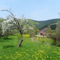 Слънчево време с температури до 21° в сряда