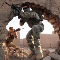 Япония праща въоръжените си сили да се борят с мечки