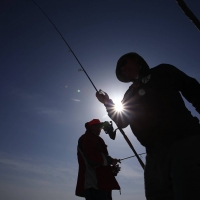 С началото на 2026 г.: Влиза в сила национална забрана за риболов в Дунав и Черно море