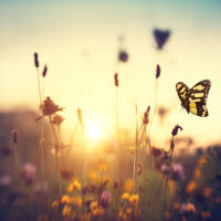 Предимно слънчево в понеделник