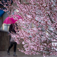 Дъждовен вторник, на места със значителни превалявания