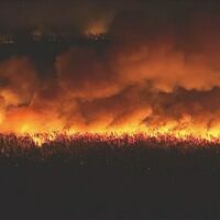 Вече са избухнали над 50: Сезонът на пожарите в Гърция започна