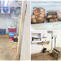 Кланица на ужаса в частен дом: Над 530 кг месо без произход са открити в Хасковско