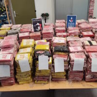 Откриха кокаин за 75 млн. евро в почва за цветя