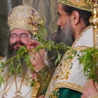 Православните християни отбелязаха Цветница, предстои Страстната седмица