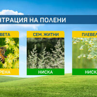 Със слънчевото време полените се завръщат, за кратко