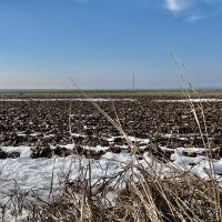 Изминалият март е вторият най-топъл в Европа, откакто се води статистика