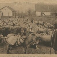 Великденската трапеза преди 100 години: „Много хора не са опитвали агнешко в Румъния. Задоволявали са се с говеждо“