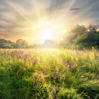 Слънчево и с пролетни температури на Светли понеделник – 13 април