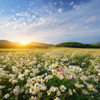 Проф. Георги Рачев: Подмина ни циклон, който трябваше да донесе дъжд. Очаква ни по-топла и суха седмица