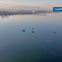 "Цялото море се съживява, видове се появяват за първи път": „Морска прахосмукачка“ чисти „сополите“ на Мраморно море 