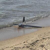 Дрон изплава на плажа в Несебър (СНИМКИ)