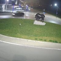 Опасни маневри на кръгово в Ямбол, камери заснеха нарушителя (ВИДЕО)