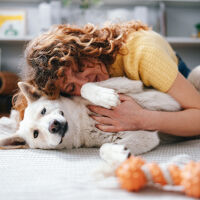 Разработват хапче, което удължава живота на кучетата