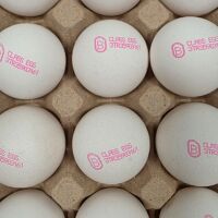 БАБХ върна около 1,3 млн. яйца в Турция