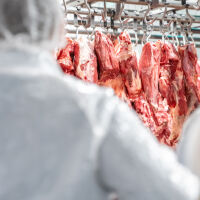 Заради лоша хигиена: Унищожават 35 тона месо край Пловдив