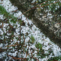 Начало на сезона на градушките: Защитени ли са нивите?