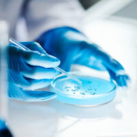 Учени успяха да неутрализират генетичната причина за синдрома на Даун