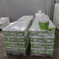 Проверки по морето: Унищожават тонове храна без документи и с изтекъл срок 