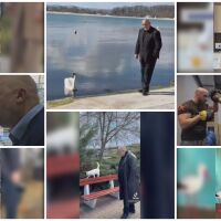 Лебеди, песни и скандали: Най-куриозните моменти от предизборната кампания