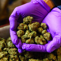 Турция конфискува над 200 кг марихуана на границата с България