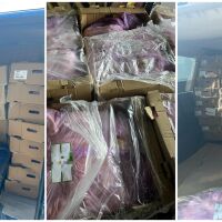 Митничари откриха 1,5 тона пилешко месо, натъпкано в микробус