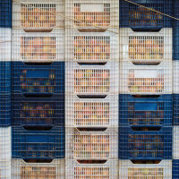 Иран: Блокадата на САЩ не влияе върху доставките на храна