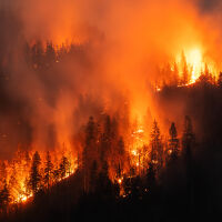 Горски пожари опустошават САЩ: Десетки унищожени домове и масови евакуации (ВИДЕО)